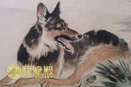 ayx官网|“十三五”重点做好贫困户危房改造