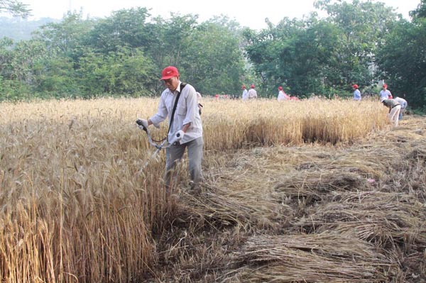 2019年鄂州医疗保险最新规定:报销范围、比例、条件‘ayx官网’(图2) 爱游戏(ayx)中国官方网站