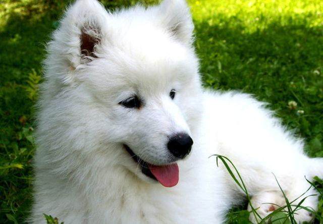 【爱游戏(ayx)中国官方网站】一看保单,就知道你保险被坑了!保险怎么选?我告诉你(图2) ayx官网