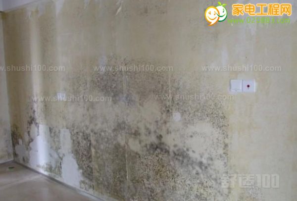 ayx官网-互联网保险发挥“鲶鱼效应”(图2) 爱游戏(ayx)中国官方网站