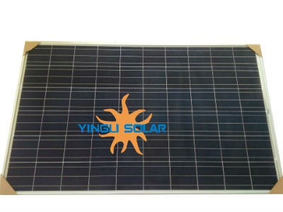 ayx官网-互联网保险发挥“鲶鱼效应”(图4) 爱游戏(ayx)中国官方网站