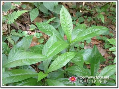 【最新】2015年黑龙江高考分数线公布-爱游戏(ayx)中国官方网站(图1) ayx官方网站