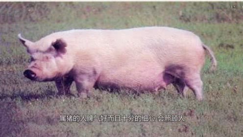 爱游戏(ayx)中国官方网站:第十届中国国际服务外包交易博览会主论坛在杭举行(图2) 爱游戏(ayx)中国官方网站