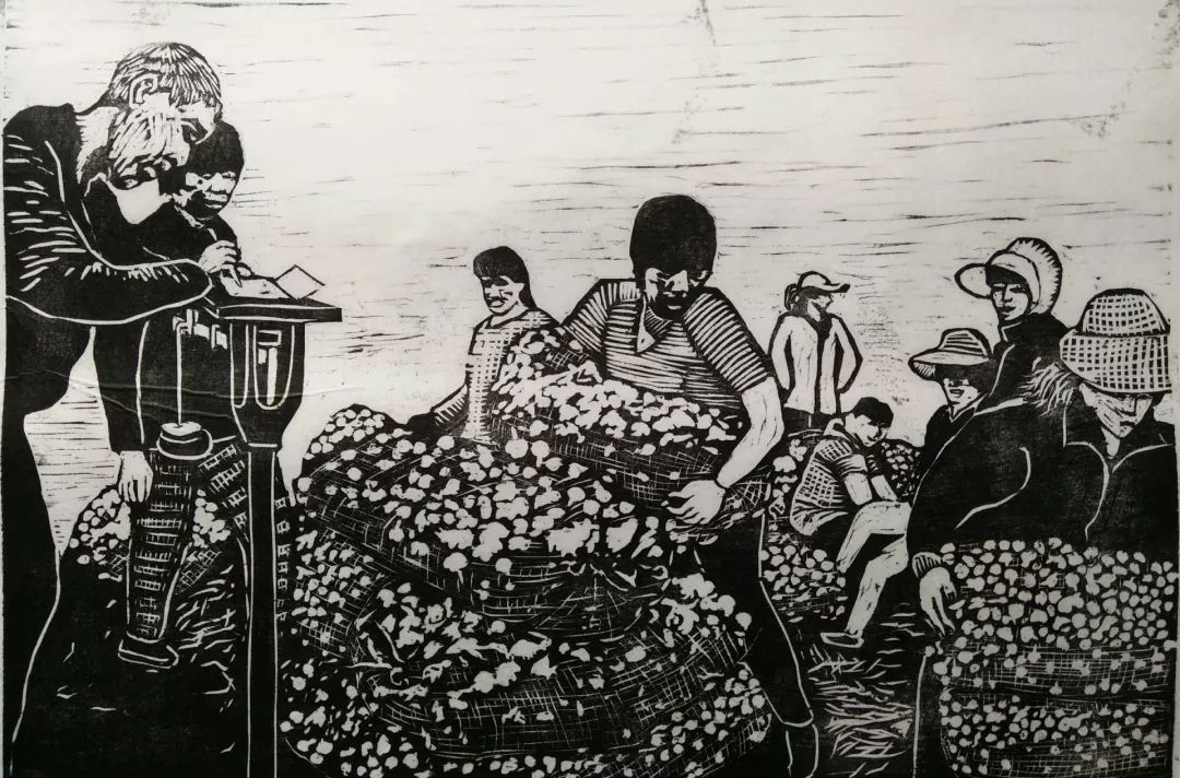 甘肃推进办税“最多跑一次” 破解纳税人“痛点”“ayx官方网站”(图3) ayx官网