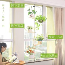 ‘ayx官方网站’左边锋保险 右边锋投资(图2) ayx官网