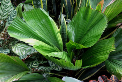 2019“国际美食在北京”首场落地活动在京举行“爱游戏（ayx）中国官方网站”