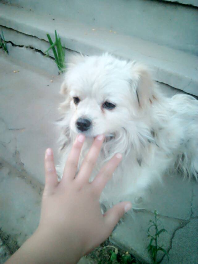 
北京玖富团体互联网金融 2020年8月份就不回款了【ayx官方网站】