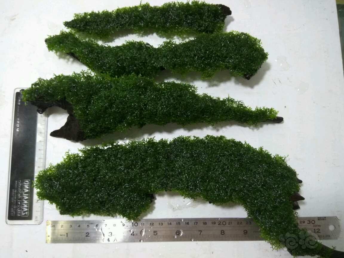 ayx官网-泰禾拟建20综合体被指冒进