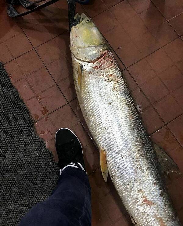 5分钟相识保险到底保什么【ayx官网】(图2) ayx官方网站