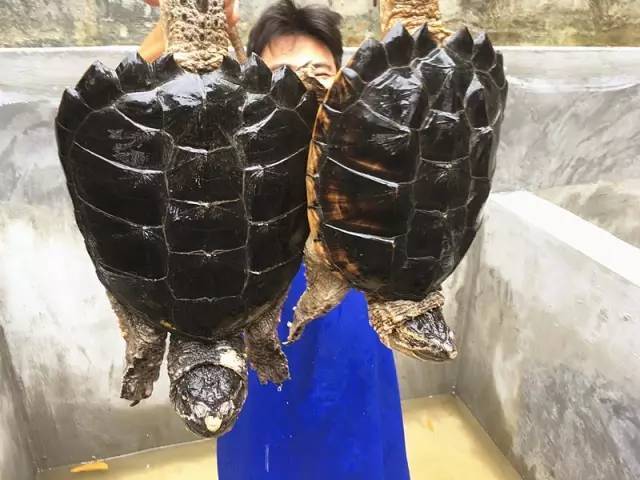 爱游戏(ayx)中国官方网站_湖北明确新房价格控制目标 部分地区继续加码调控(图3) 爱游戏(ayx)中国官方网站