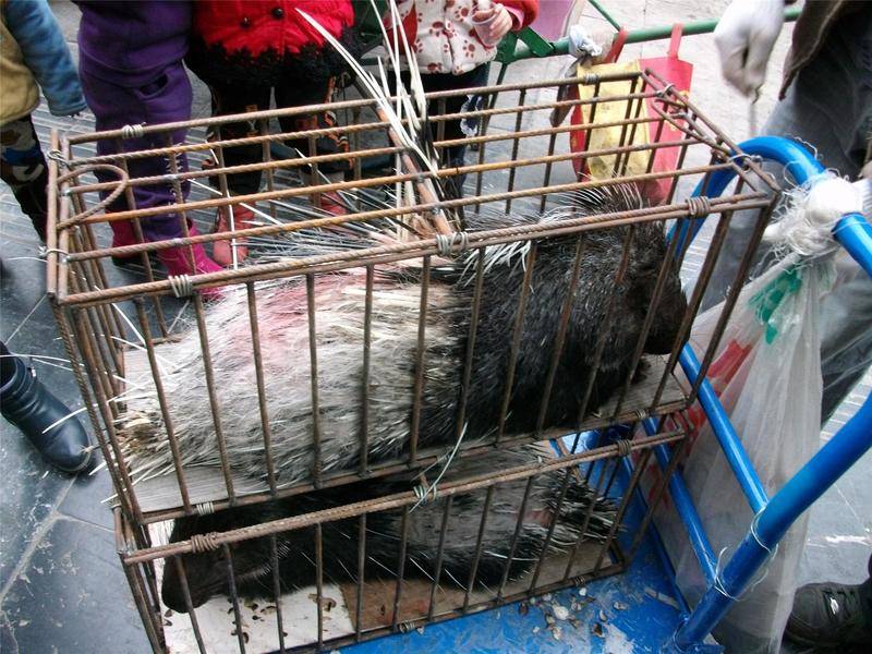 爱游戏(ayx)中国官方网站_湖北明确新房价格控制目标 部分地区继续加码调控(图2) ayx官方网站