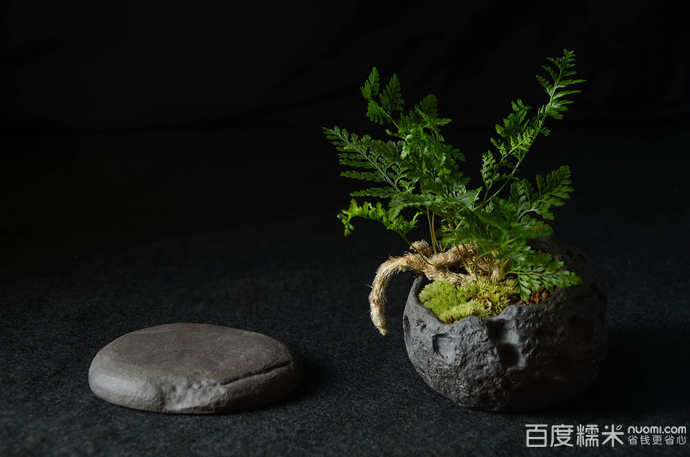 ayx官网-中新集团确认A股上市 发行价9.67元/股