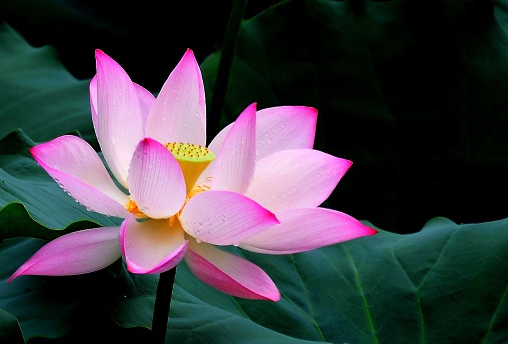 “ayx官方网站”保险资金三季度密集调研国企改革概念股