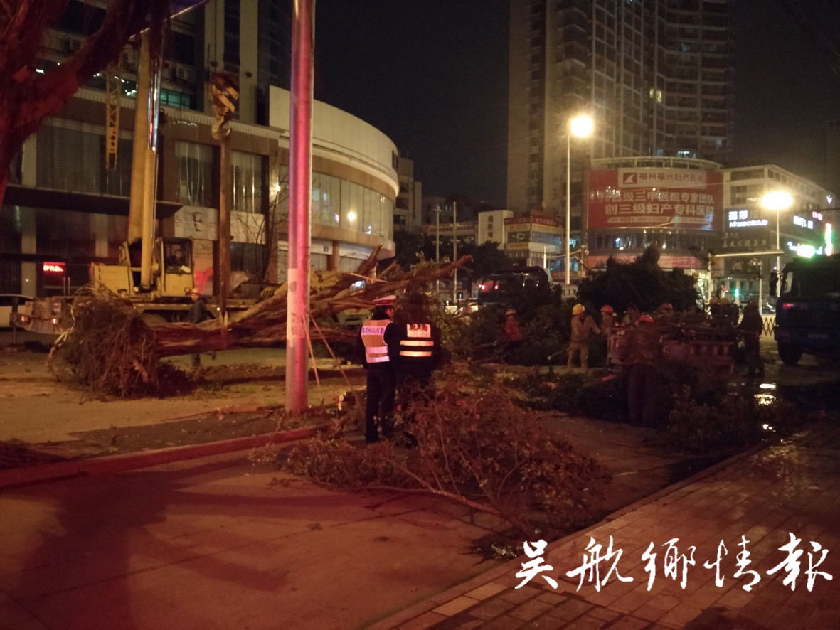 全国人大代表余永华：加快实施医疗责任保险制度：ayx官方网站