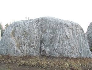 房地产税法立法今年内难完成_ayx官网(图2) ayx官网