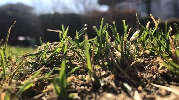 “爱游戏(ayx)中国官方网站”新华联:为湖南华建提供6000万融资担保(图3) ayx官方网站