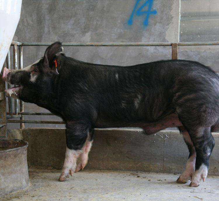 爱游戏(ayx)中国官方网站-限购范围扩大至全市(图2) ayx官网