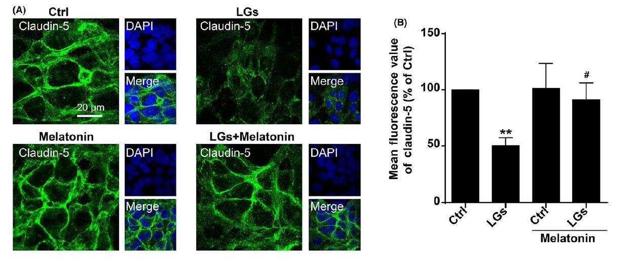 ayx官网-商丘工学院经济与管理学院举办“共建生态文明,共享绿色家园”主题团日活动(图1) 爱游戏(ayx)中国官方网站