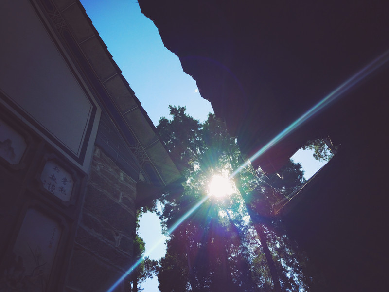 机构:中西部城市商业地产回报率位居第一-ayx官网(图3) 爱游戏(ayx)中国官方网站