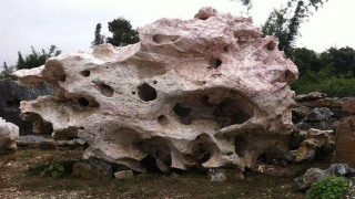 河南警察学院打造具有公安特色的大学文化-ayx官网(图3) ayx官网