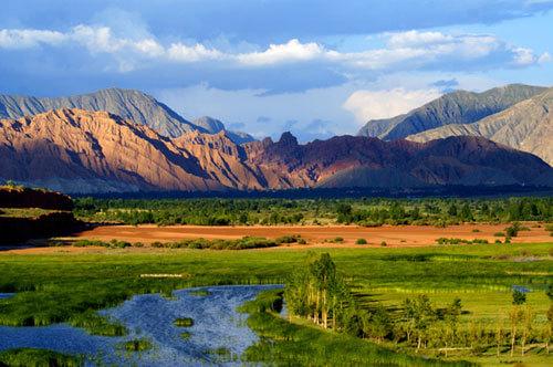 ayx官网：顺应自然重构生活——星光二幼小雪节气主题活动