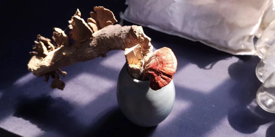 爱游戏（ayx）中国官方网站