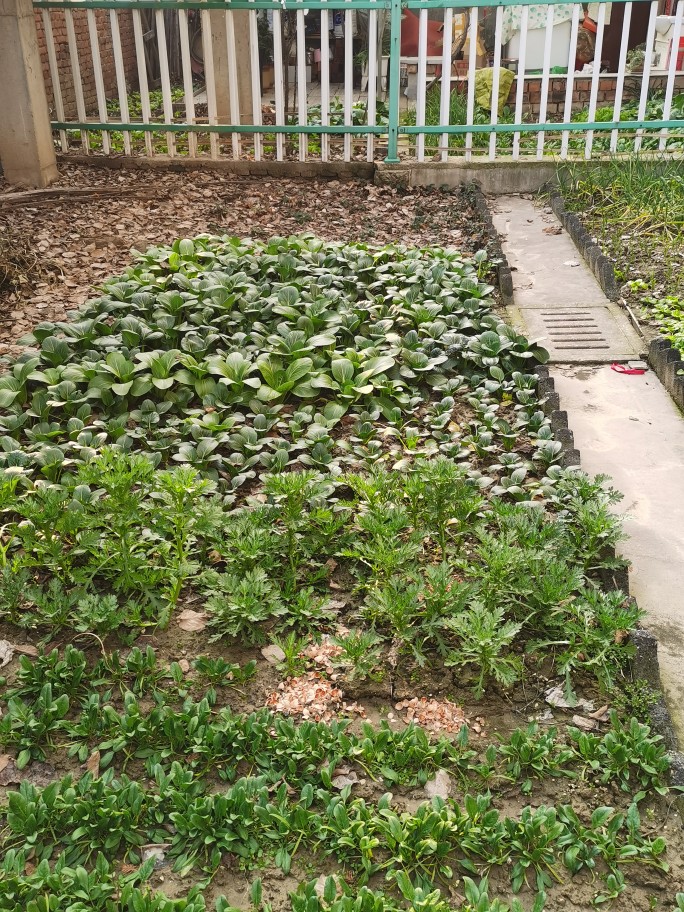 ‘ayx官方网站’陈云峰:北京中心城区房价不可能降(图2) 爱游戏(ayx)中国官方网站