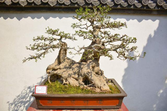 ‘ayx官方网站’陈云峰:北京中心城区房价不可能降(图4) ayx官方网站