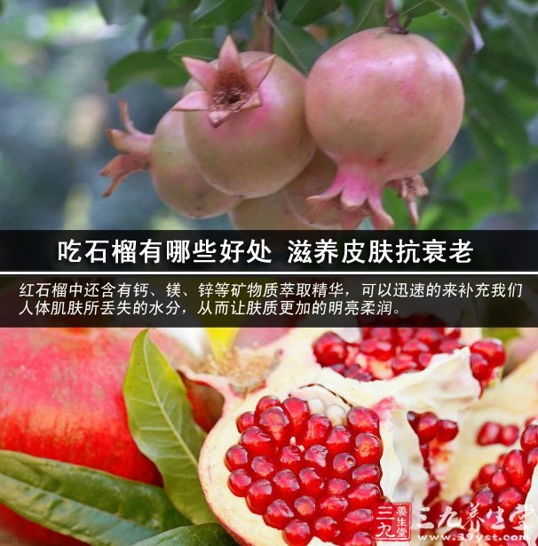 爱游戏（ayx）中国官方网站