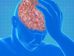 关于洛阳新艺影艺专修学院换发办学许可证的公示_ayx官方网站