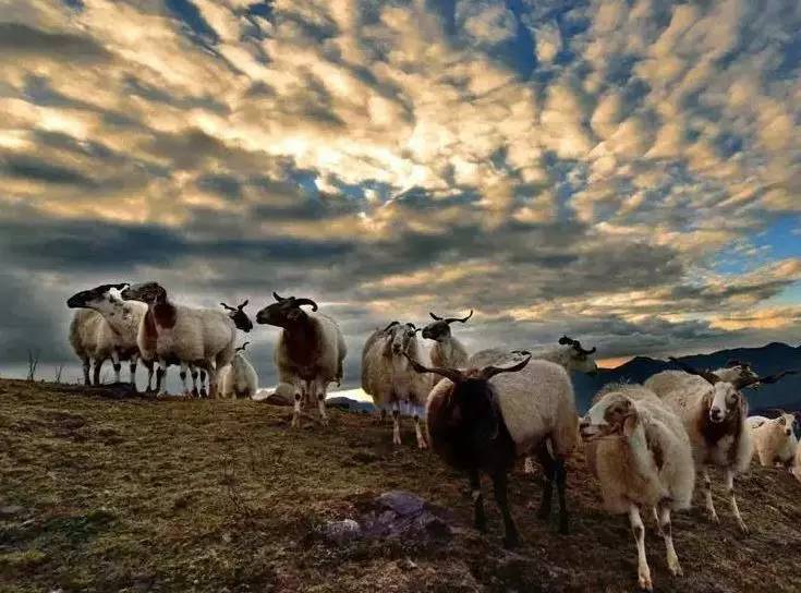 恒大御景湾首日选房1023余套 弃选率超88%“ayx官网”