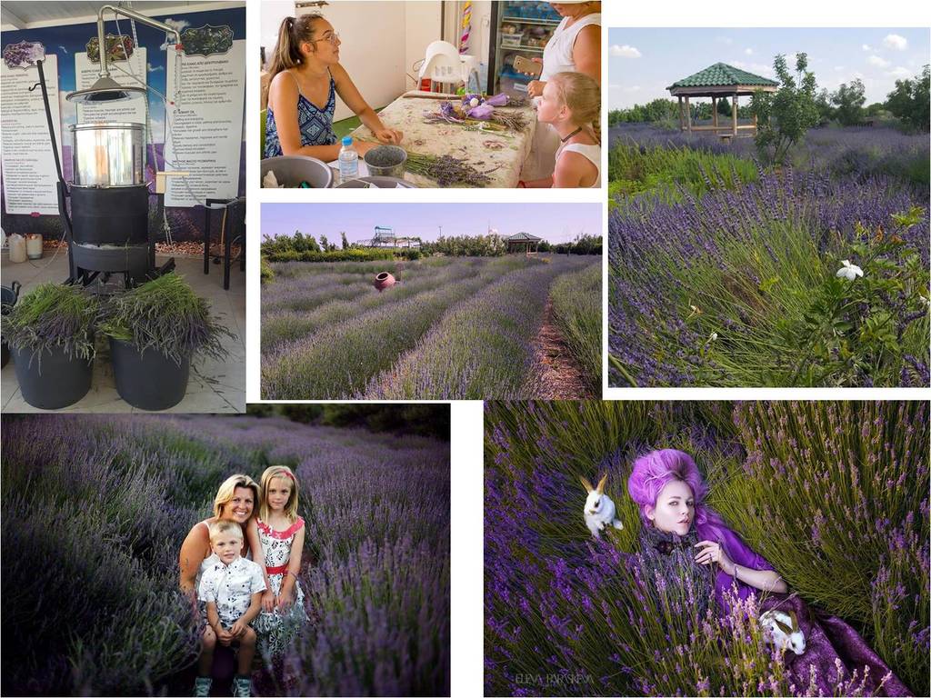 万科前三季销售1805亿 新增50项目【ayx官网】