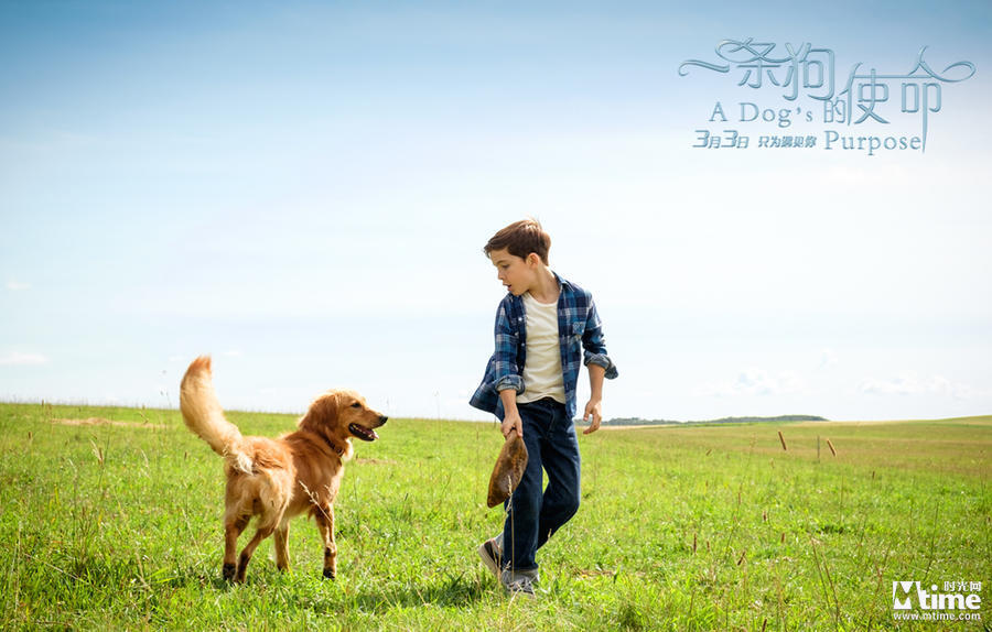 爱游戏（ayx）中国官方网站