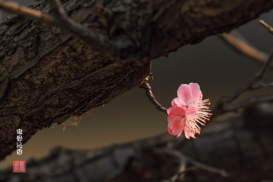 2015前两月浙江保费达311.6亿  其中杭州人最爱买保险-爱游戏（ayx）中