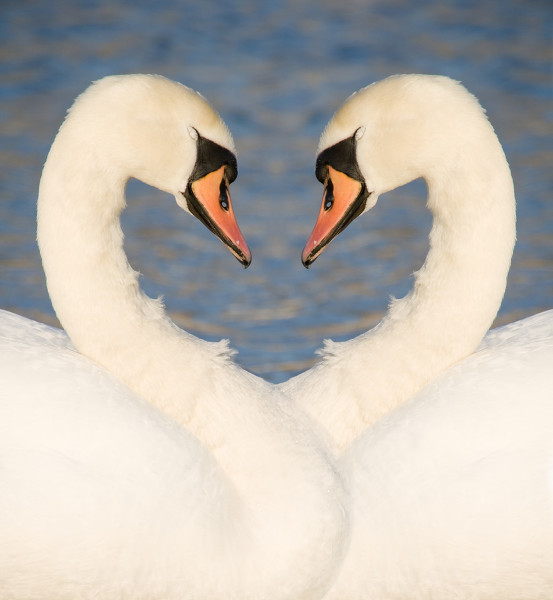 爱游戏（ayx）中国官方网站