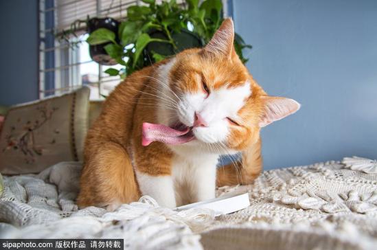 爱游戏（ayx）中国官方网站