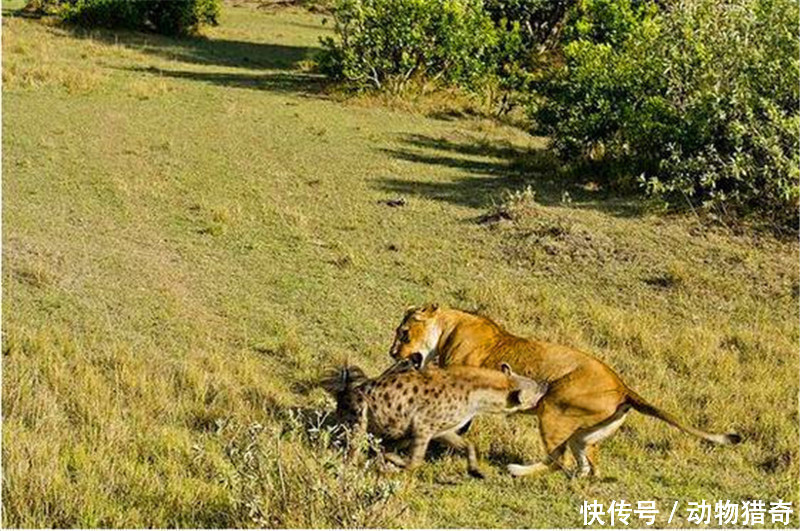 商丘工学院举行第十一届“青春飞扬”联欢文艺晚会暨第三届社团文化节闭幕式_ayx官