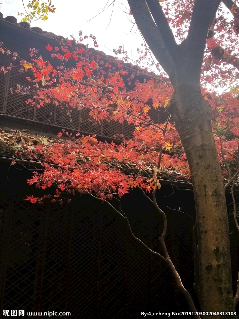 长沙发布“升级版”调控细则 摇号人数不能超过可售房源的1.5倍|ayx官方网站(图2) ayx官网