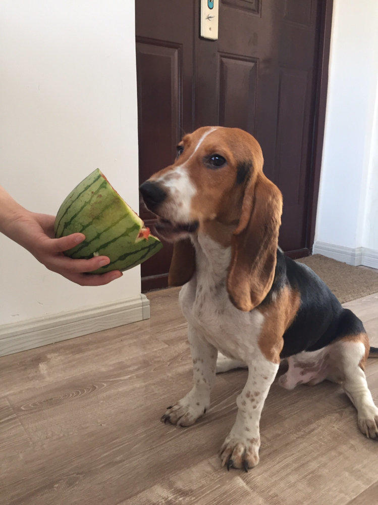 信贷紧缩下的房企融资术：中海、华润、龙湖的“非典型”样本-ayx官方网站