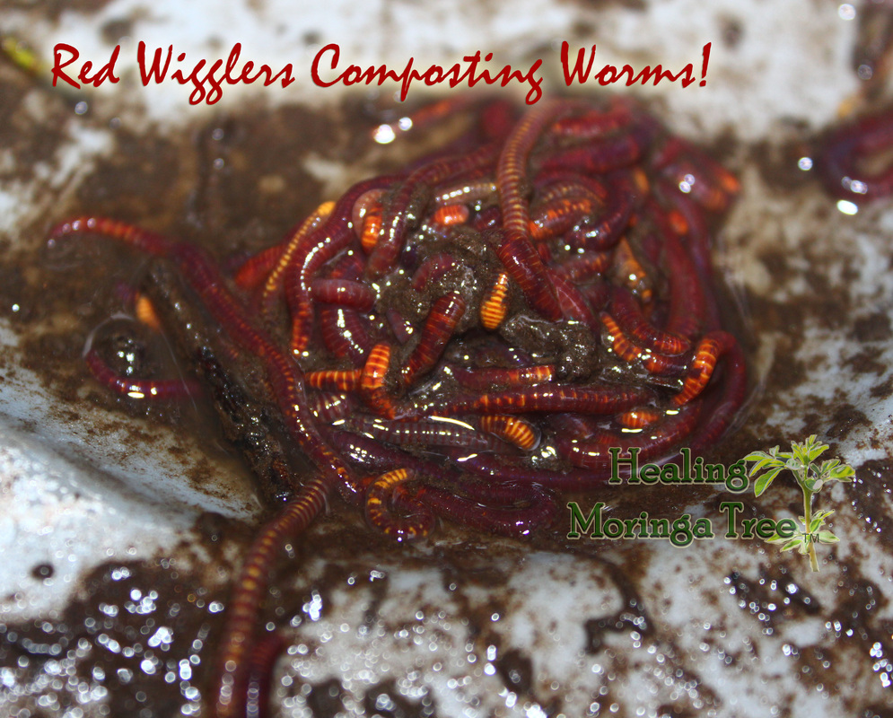 天猫618物流史上最快!开场仅16小时全国304城已被签收_爱游戏(ayx)中国官方网站(图2) ayx官方网站