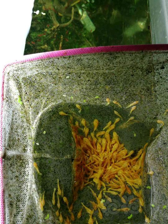 Mihir：中国企业在印度面临的主要挑战‘ayx官方网站’