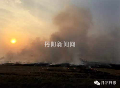 爱游戏（ayx）中国官方网站