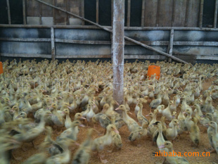 爱游戏（ayx）中国官方网站：2017山西高考成绩排名查询入口