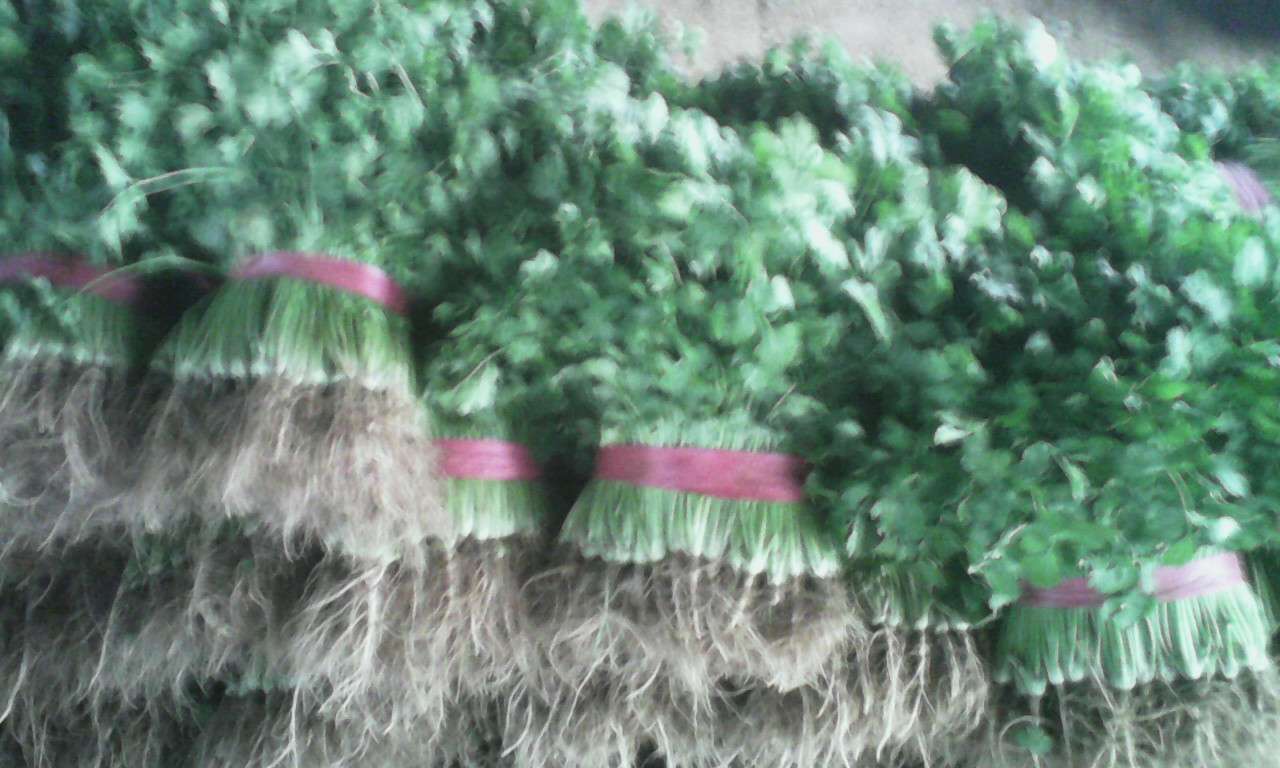 博鳌现场丨碧桂园服务李长江：简单、实用的智能化才是客户所需“ayx官方网站”