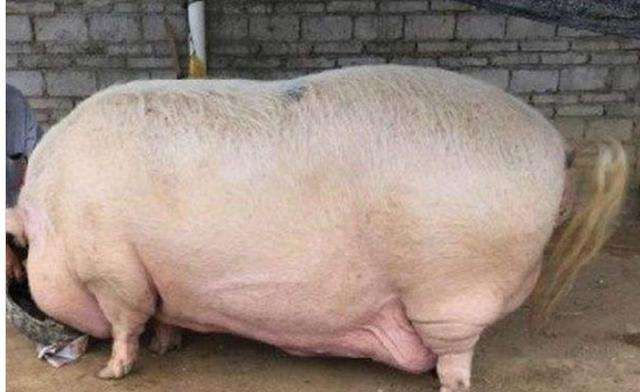 爱游戏（ayx）中国官方网站