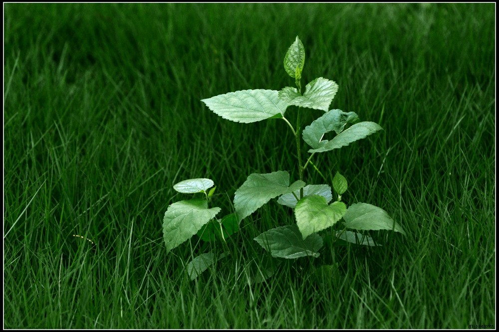 ayx官网-“19新城01”成交价下跌19%至81.13元