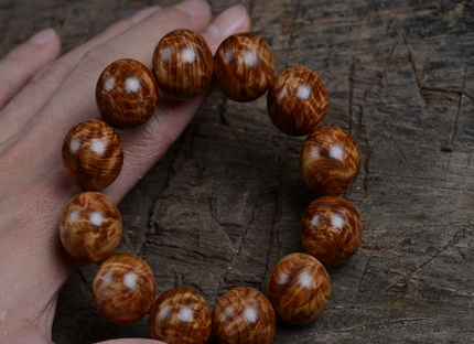 河南工信职业学院财经商贸系学生创业项目获“中国创翼”全国大赛“金翼奖”：爱游戏（