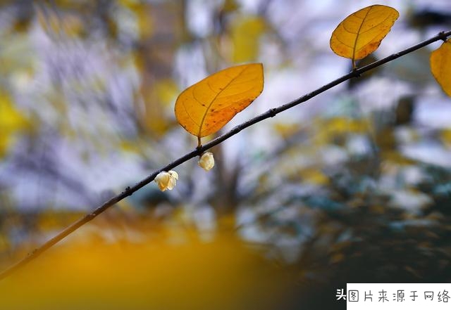 2016新疆高考志愿填报入口已开通：http://www.xjzk.gov.cn