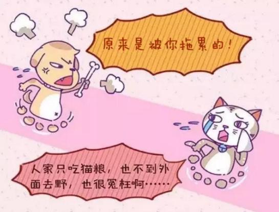 ayx官网-河南理工大学学生获中国青少年科技创新奖