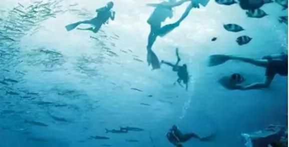 爱游戏（ayx）中国官方网站